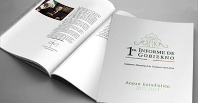 Tampico Informe